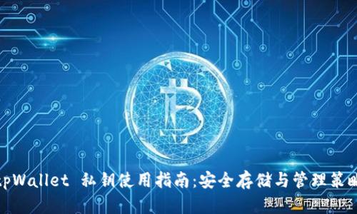 tpWallet 私钥使用指南：安全存储与管理策略