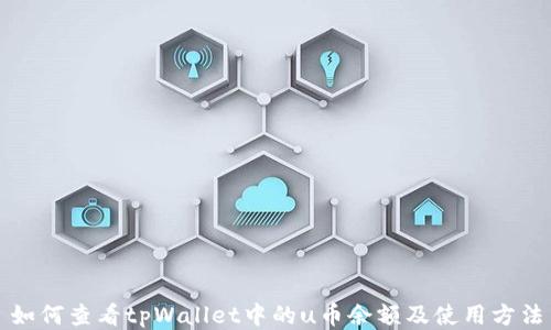 
如何查看tpWallet中的u币余额及使用方法