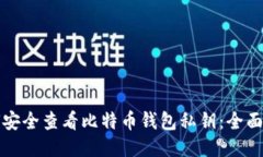 如何安全查看比特币钱包