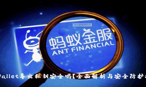 tpWallet导出私钥安全吗？全面解析与安全防护指南