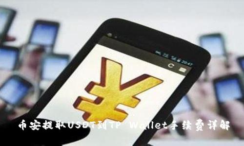 币安提取USDT到TP Wallet手续费详解