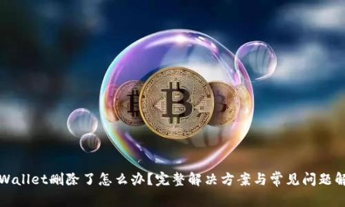 tpWallet删除了怎么办？完整解决方案与常见问题解析