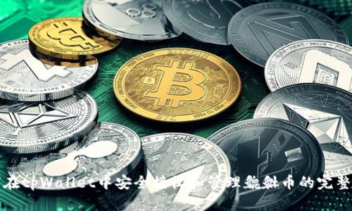 如何在tpWallet中安全接收和管理貔貅币的完整指南