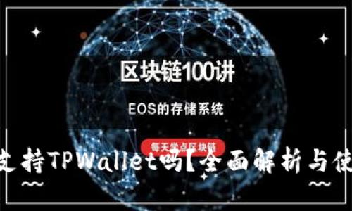 BSC链支持TPWallet吗？全面解析与使用指南