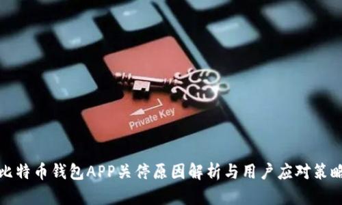 比特币钱包APP关停原因解析与用户应对策略