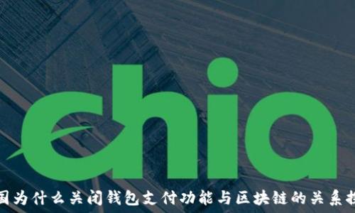   
中国为什么关闭钱包支付功能与区块链的关系探讨