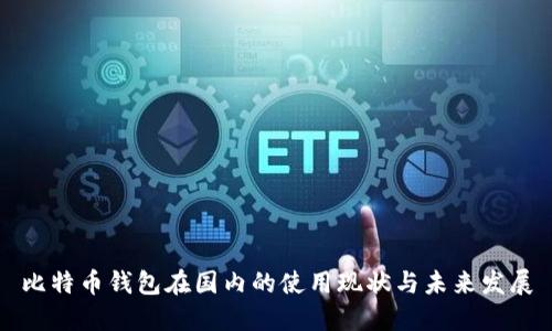 比特币钱包在国内的使用现状与未来发展