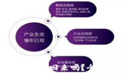 tpWallet被盗后还能追回来吗