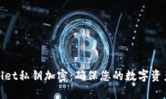 tpWallet私钥加密：确保您的