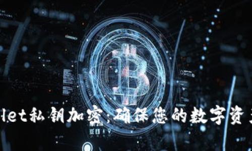 tpWallet私钥加密：确保您的数字资产安全